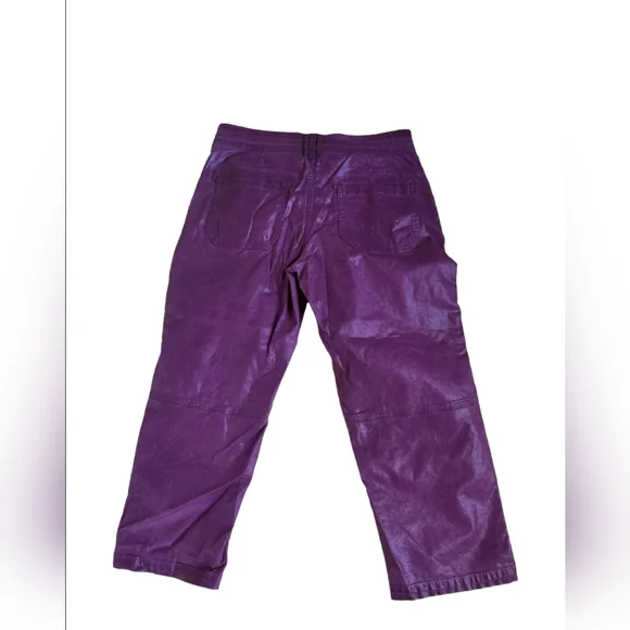 Pilcro The Wanderer Coated Relaxed Jeans In Purple Size 31P EUC